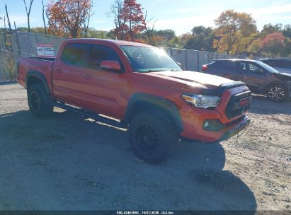Photo TOYOTA tacoma trd off road.