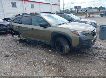 Photo SUBARU outback wilderness.