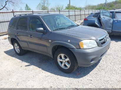 Photo MAZDA tribute i.