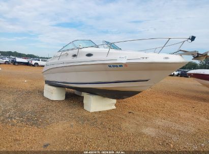 Photo SEARAY 240 sundancer  .
