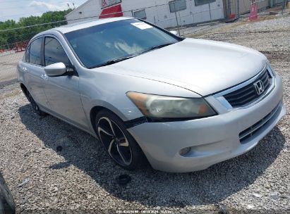 Photo HONDA accord 3.5 ex-l.