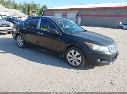 Photo HONDA accord 3.5 ex-l.