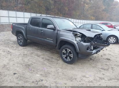 Photo TOYOTA tacoma trd sport.
