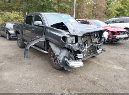 Photo TOYOTA tacoma trd off road.