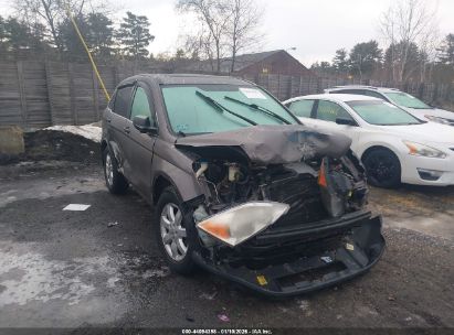 Photo HONDA cr-v ex.