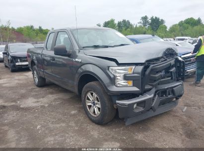 Photo FORD f-150 xl.