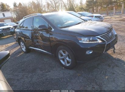 Photo LEXUS rx 350  .
