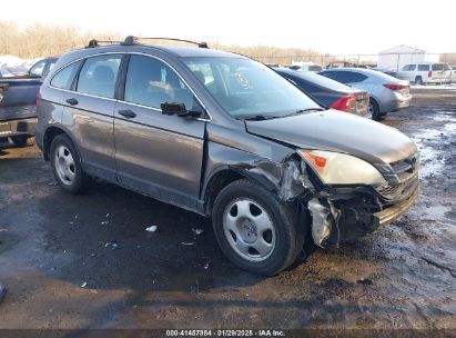 Photo HONDA cr-v lx.