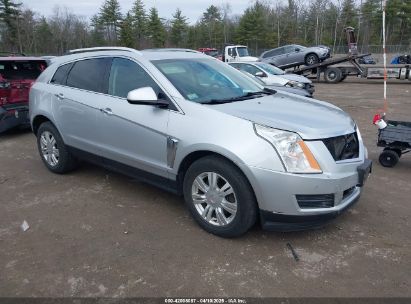 Photo CADILLAC srx luxury collection.