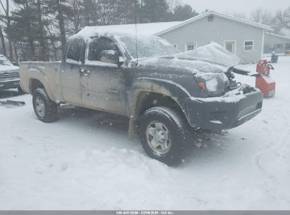 Photo TOYOTA tacoma base v6.