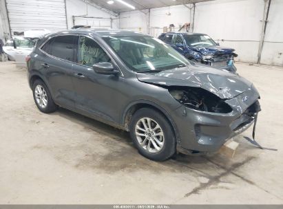 Photo FORD escape se.