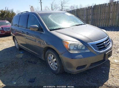 Photo HONDA odyssey ex-l.