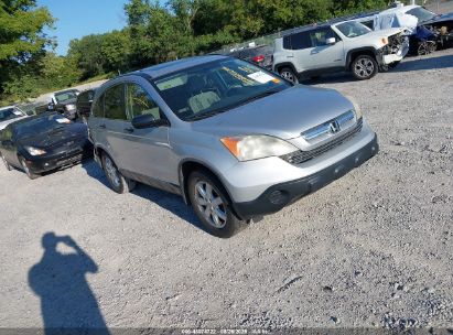 Photo HONDA cr-v ex.