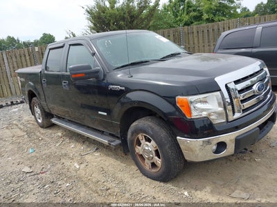 Photo FORD f-150 xlt.