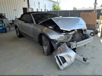 Photo FORD mustang v6.