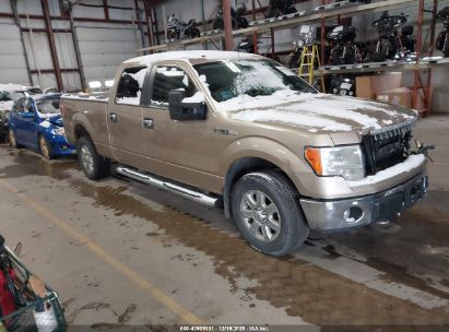 Photo FORD f-150 xlt.