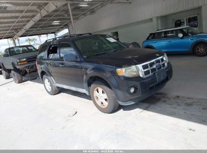 Photo FORD escape xlt.