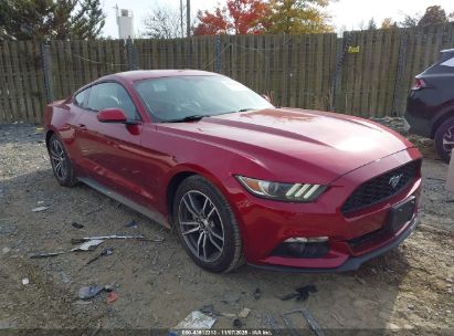 Photo FORD mustang ecoboost.