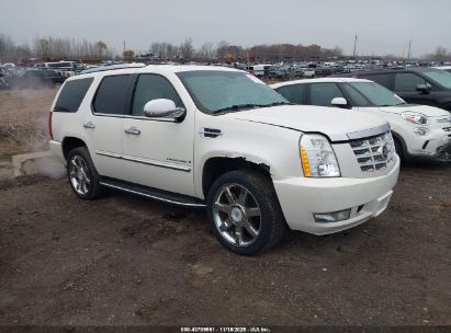 Photo CADILLAC escalade standard.