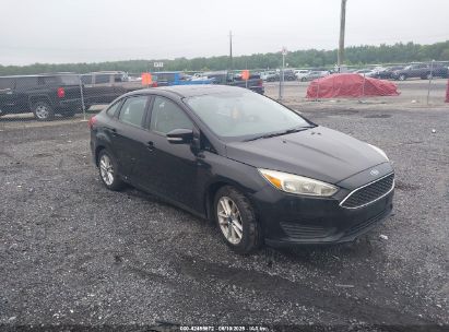 Photo FORD focus se.