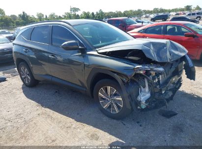 Photo HYUNDAI tucson hybrid blue.