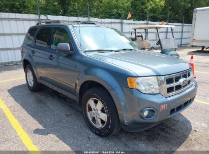Photo FORD escape xlt.