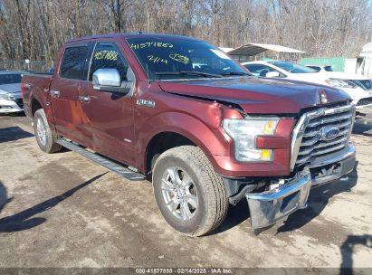 Photo FORD f-150 xlt.