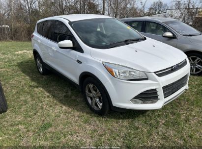 Photo FORD escape se.
