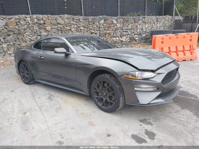 Photo FORD mustang ecoboost.
