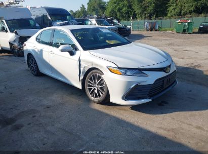 Photo TOYOTA camry xle.