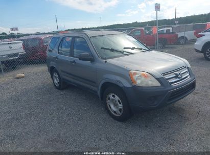 Photo HONDA cr-v lx.