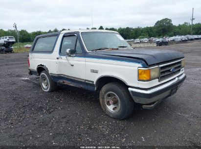 Photo FORD bronco u100.
