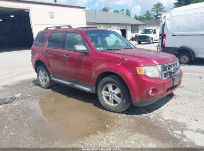 Photo FORD escape xlt.