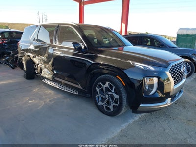 Photo HYUNDAI palisade calligraphy.