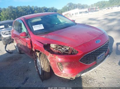 Photo FORD escape se.