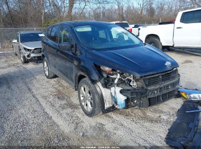 Photo FORD escape se.