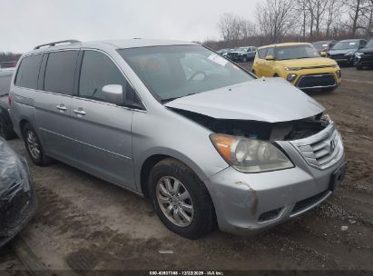 Photo HONDA odyssey ex.