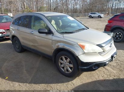 Photo HONDA cr-v ex.