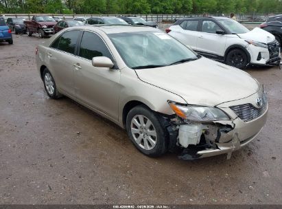 Photo TOYOTA camry hybrid  .