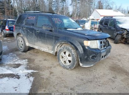 Photo FORD escape limited.