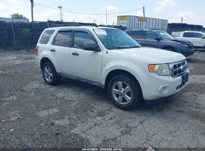 Photo FORD escape xlt.
