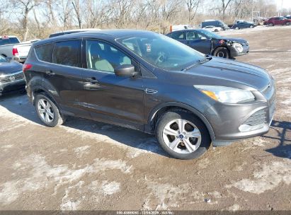 Photo FORD escape se.