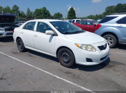 Photo TOYOTA corolla le.