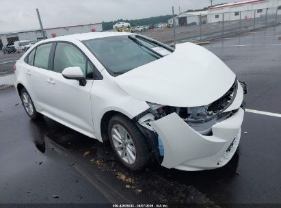 Photo TOYOTA corolla hybrid le.