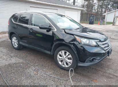 Photo HONDA cr-v ex-l.
