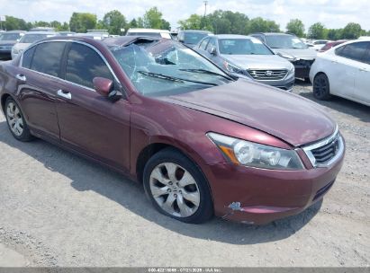 Photo HONDA accord 2.4 ex.