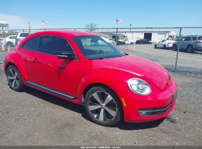 Photo VOLKSWAGEN beetle 2.0t turbo.