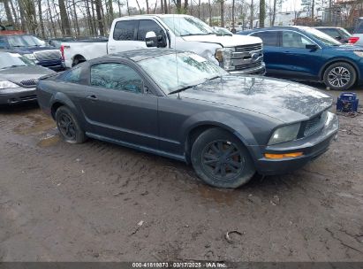 Photo FORD mustang v6 deluxe/v6 premium.