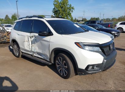 Photo HONDA passport elite.