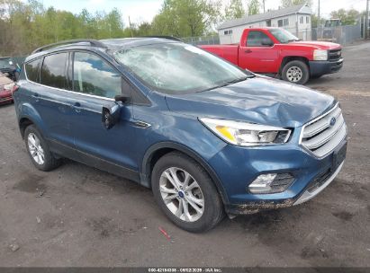 Photo FORD escape se.
